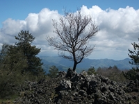Serra_Buffa - 20110417 093.jpg